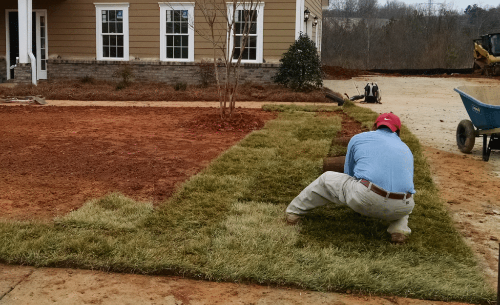 Image of a professional landscaping over a septic tank and drainfield.