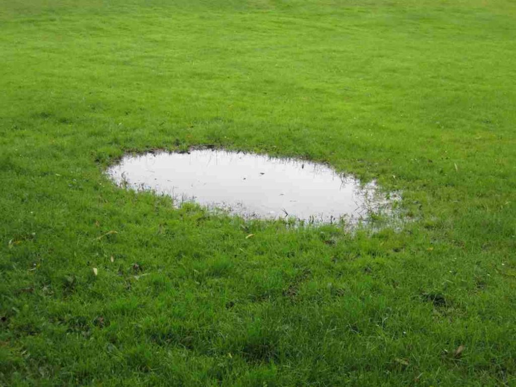 Image of a drainfield in need of pumping.