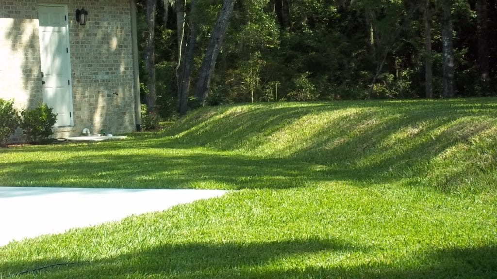 Image of green grass over septic tank and drainfield.