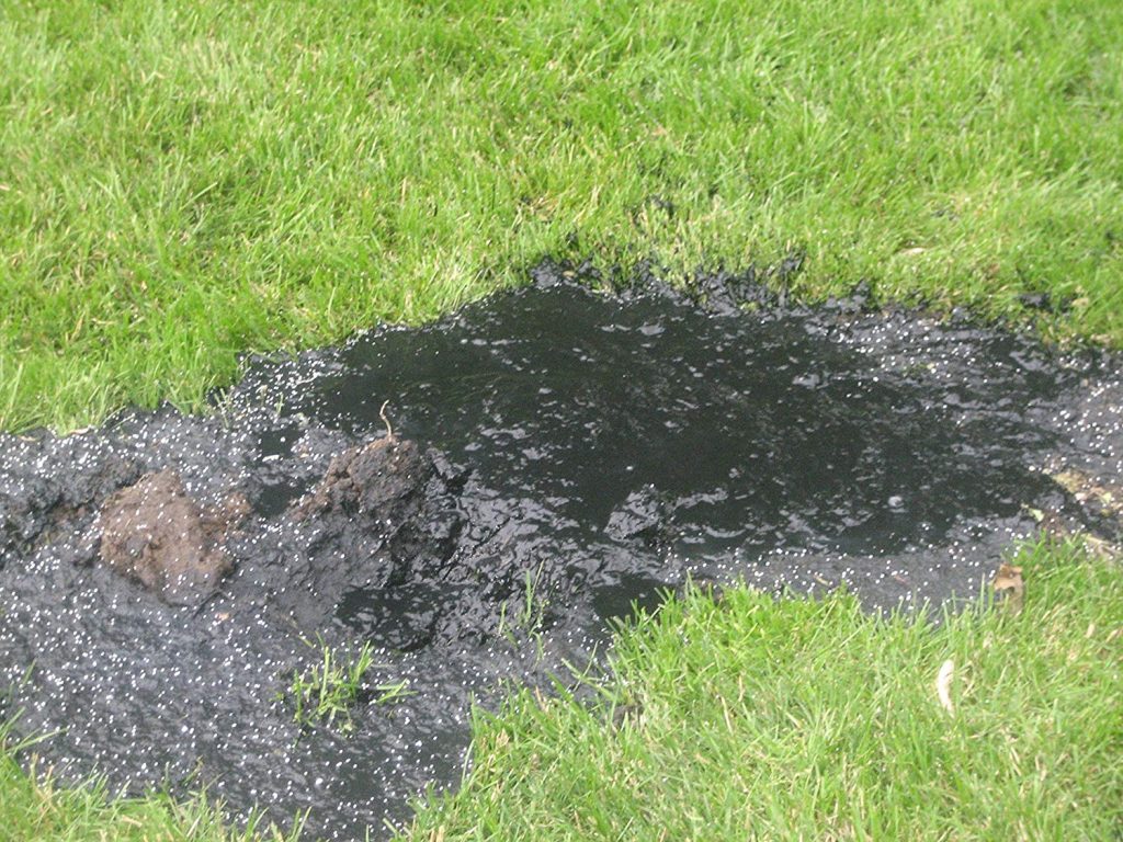 Image of bio-mat on a drainfield.