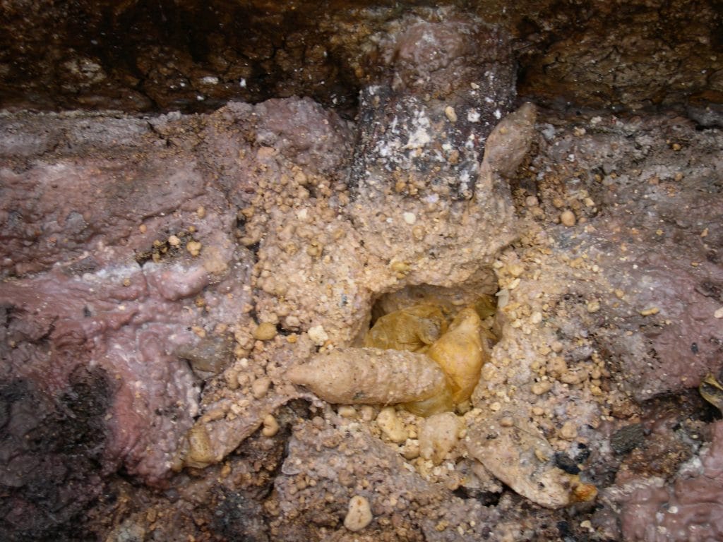 Image of grease in the septic tank.