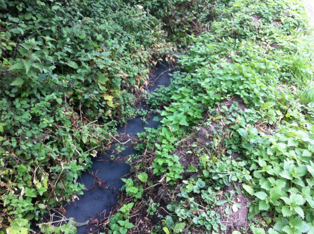 Image of a leaking raised mound that needs help.