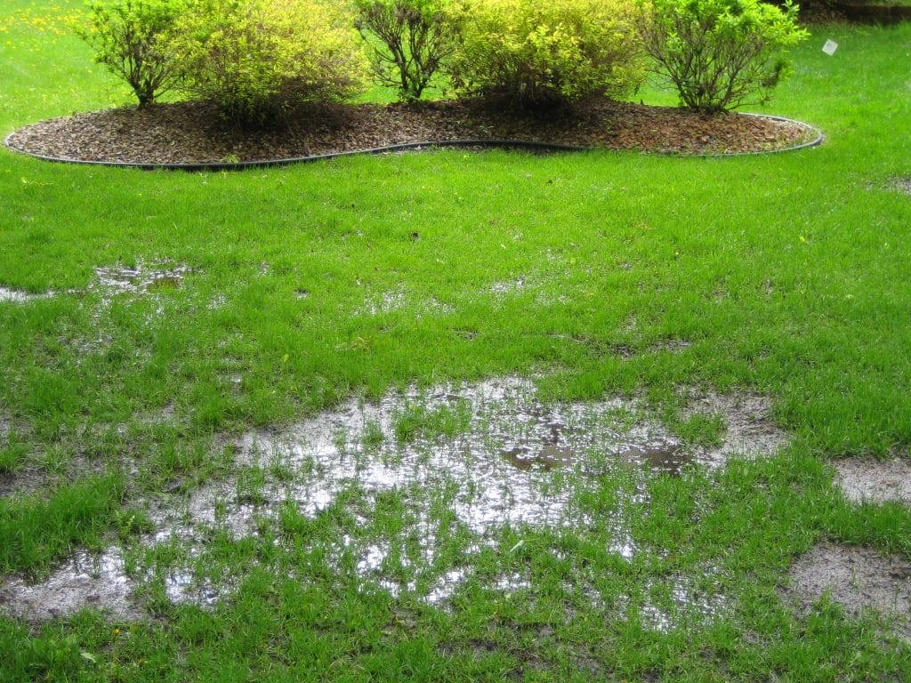 Image of sand mound not taking or holding water.