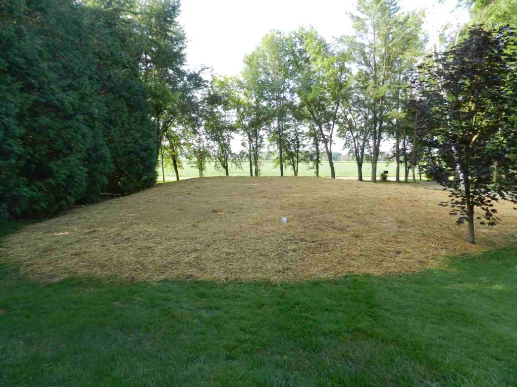 Image of brown grass over a raised mound.