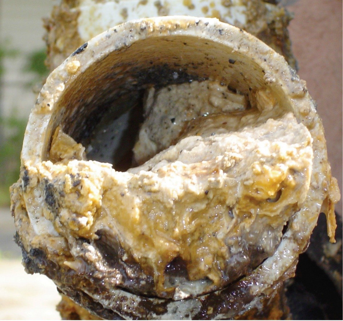 Image of a clogged commercial grease trap.