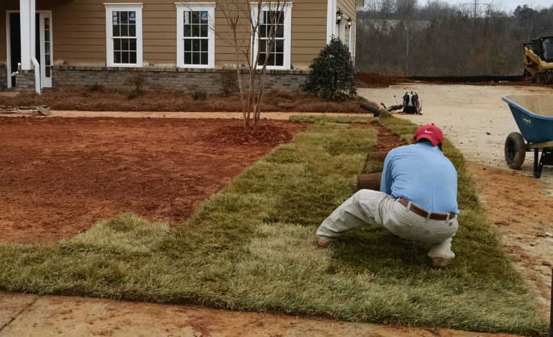 Image of a professional landscaping over a septic tank and drainfield.