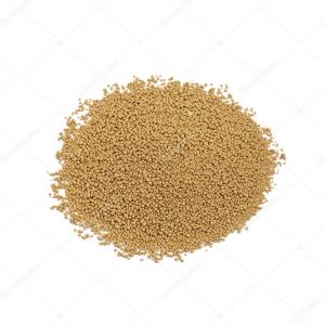 Image of dried yeast.