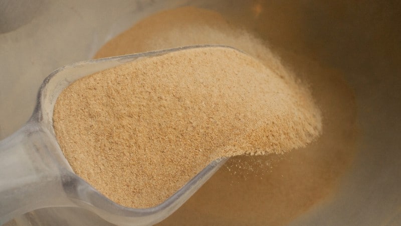 Image of baker's yeast.