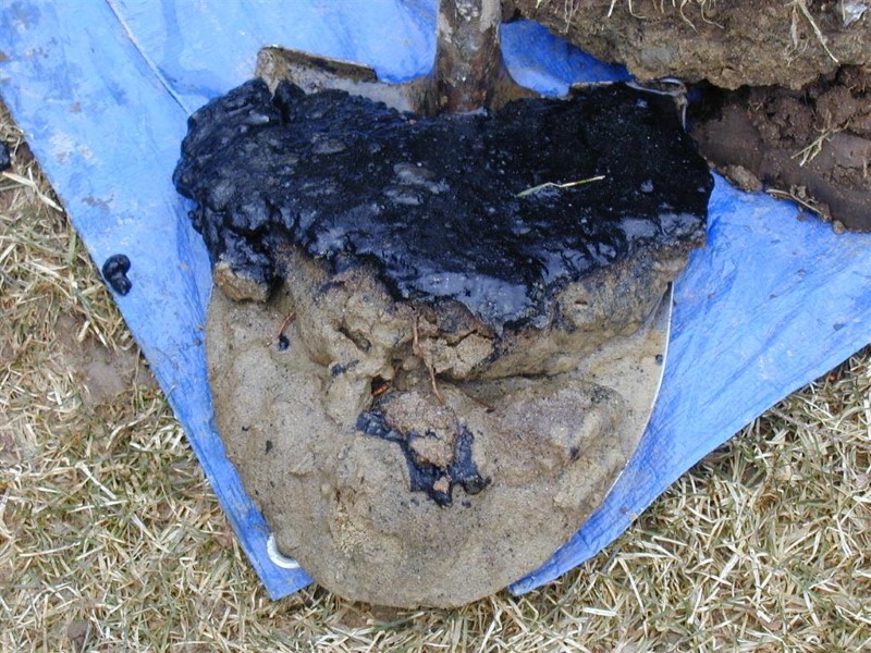 Image of bio-mat removed from a cesspool.
