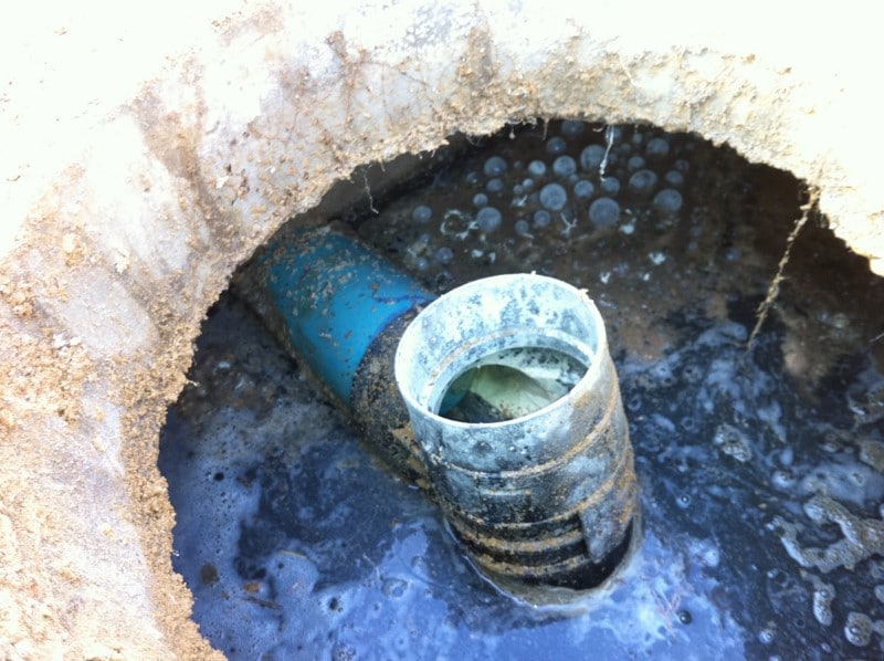 Image of a backed up septic system.
