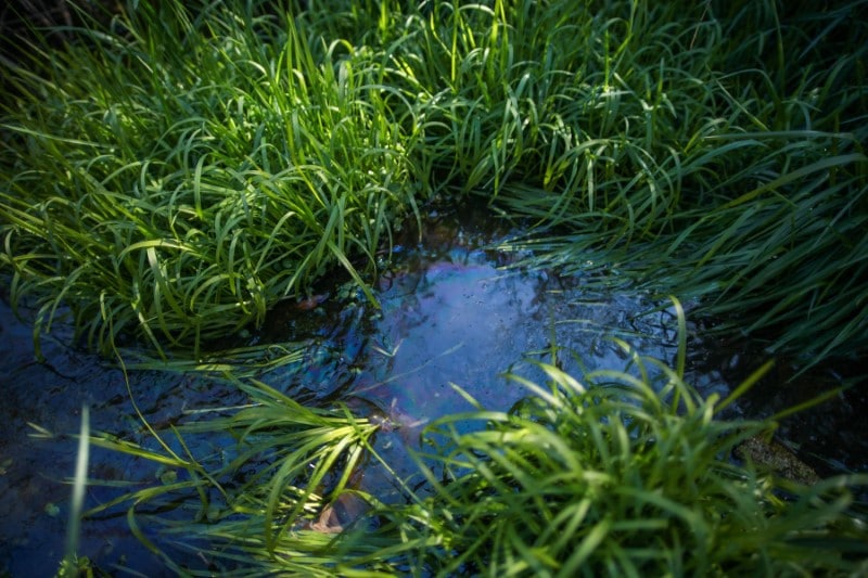 Image of abundant groundwater that should be kept away from cesspits.