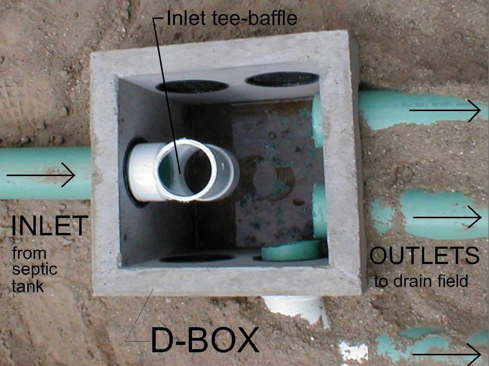 What role a septic tank baffle plays in drain field lines.