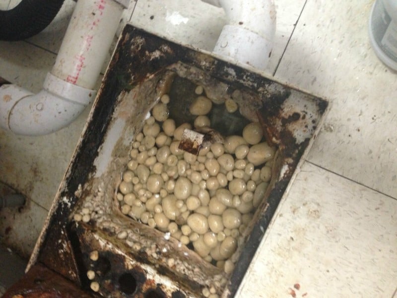 Image of an example of government housing grease trap backups.